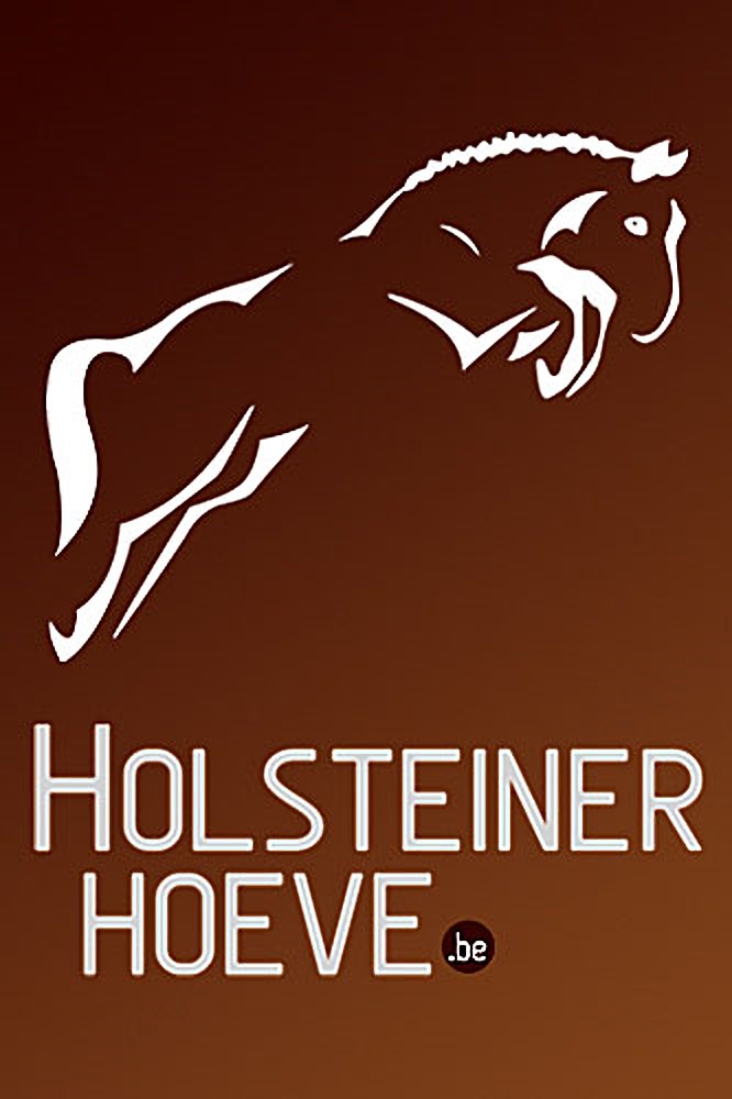 Ileya vd Holsteinerhoeve Z